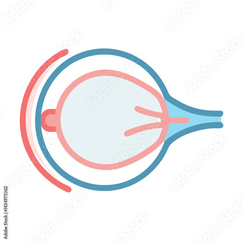 Illustration of a cross-sectioned human eye with internal structures