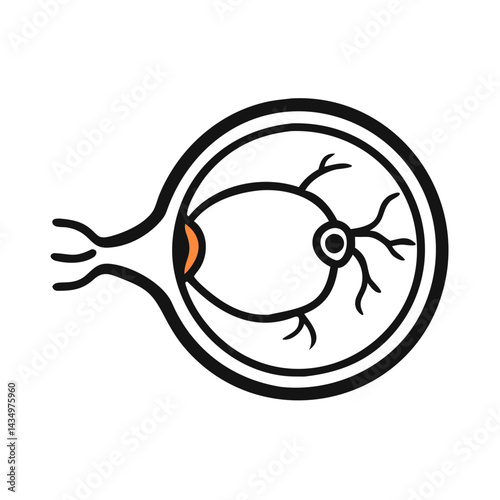 Schematic eye diagram showcasing human eye anatomy and function