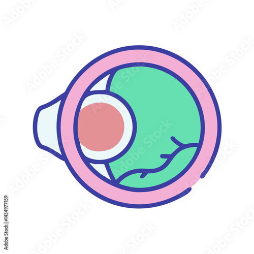 Eye anatomy medical illustration in cartoon style on black