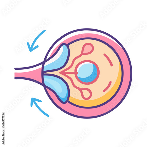 Colorful illustration of eye anatomy with fluid movement depicted