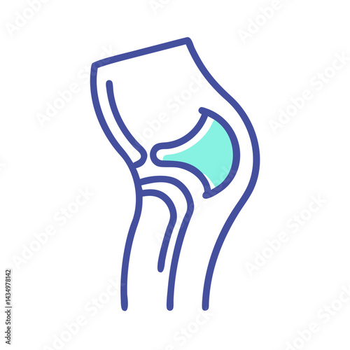 Anatomical illustration of the human knee with bone structure