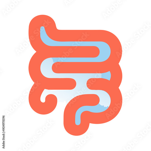 Flat style illustration of a human digestive system organ