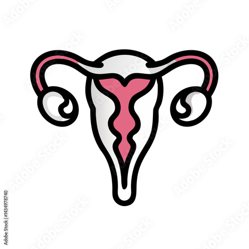 Female reproductive system illustration on black background medical stock