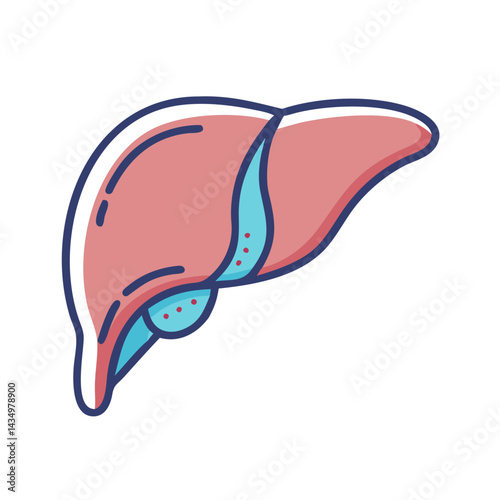 Stylized anatomical illustration of a liver with gallbladder on black