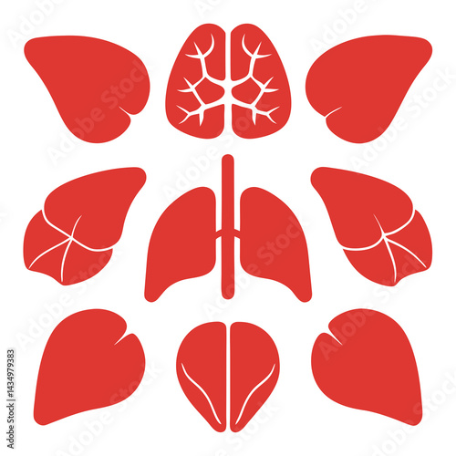 Human organs flat illustration medical concept white background