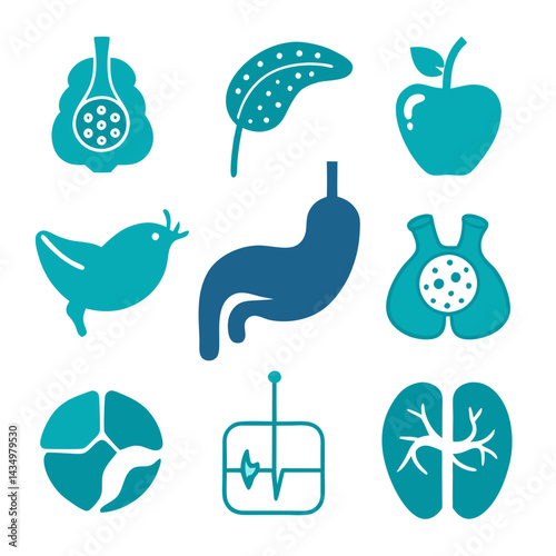 Medical icons vector illustration of internal organs and systems