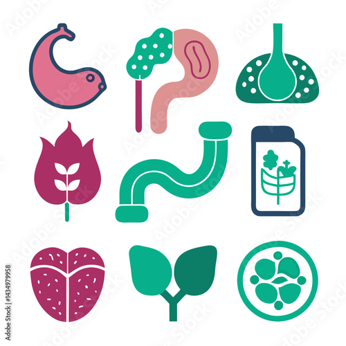 Set of stylized human organs in flat design