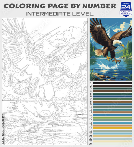 Coloring Page by Numbers – Bald Eagle Catching Fish Over Mountain Lake – Intermediate Paint by Number Template with 24 Color Palette for Kids and Adults
