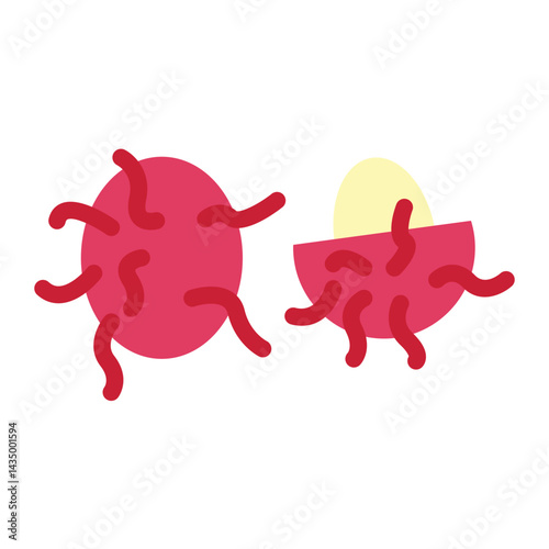 Rambutan Fruit  Icon