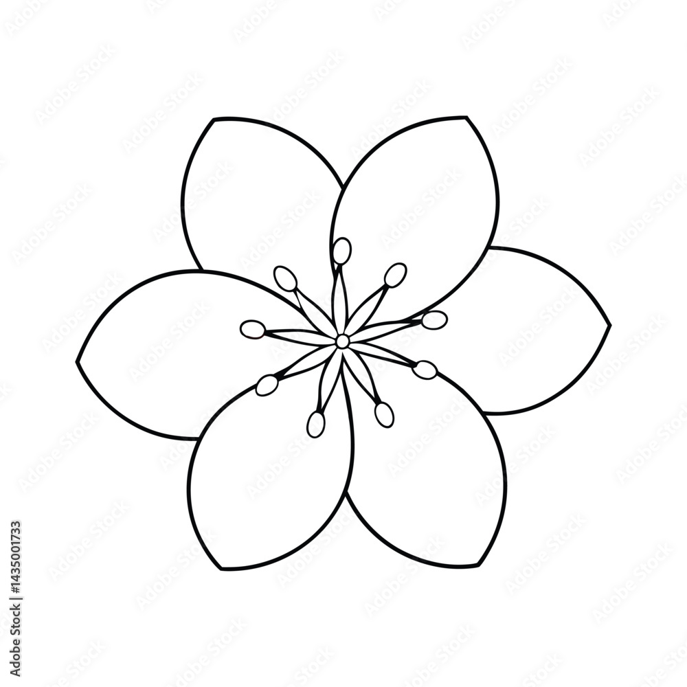 Cherry blossom flower petals on white background vector illustration Cherry blossom flower petals on white background vector illustration