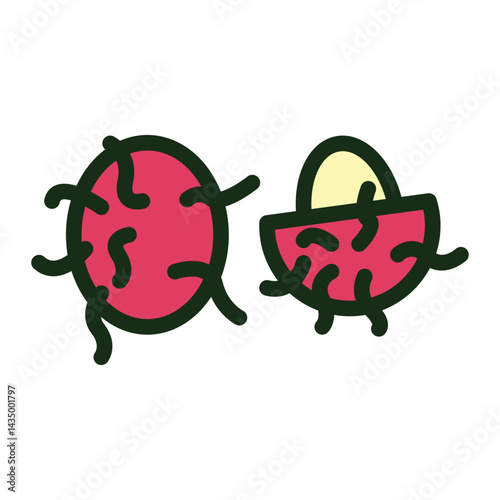 Rambutan Fruit  Icon
