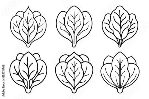 Fresh Spinach Plant icon set. Line Art for Logos and Icons with white background