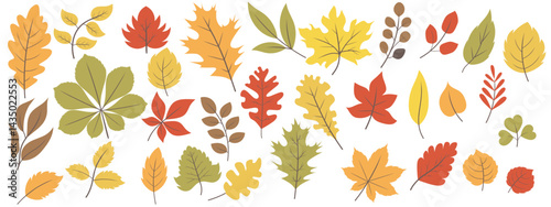Set of autumn leaves from different trees, oak, maple, chestnut. Simple, yellow, red, orange fall leaf set for pattern, banner, sticker, Hello autumn card. Flat vector illustration on white background