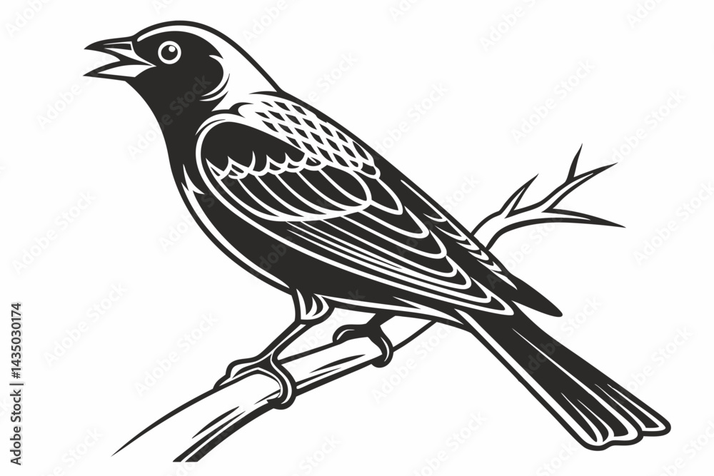 Obraz premium tanager sihouette black vector white
