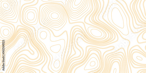 The stylized height of the topographic contour in lines and contours. The concept of a conditional geography scheme and the terrain path. Vector illustration.