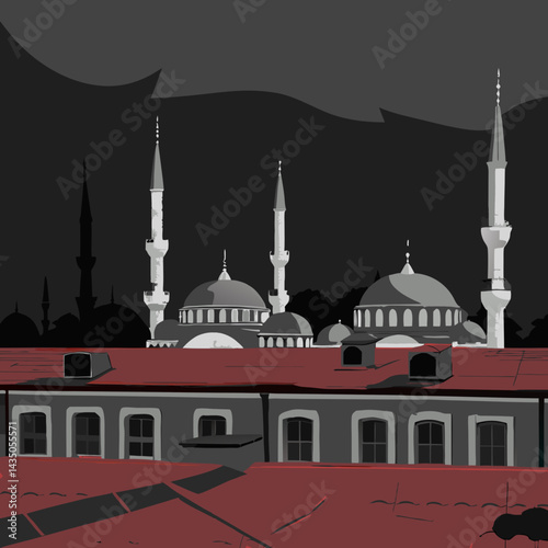 Turkey
A rooftop view in Istanbul with domes, minarets, 