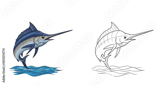 Marlin Fish Illustration : A stylized illustration showcases a marlin fish leaping out of the water, the powerful creature poised against a clean background with outline beside it.