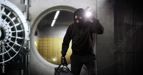 Vault Bank Robbery By Thief