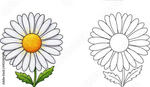 Daisy Flower Coloring Page: A cheerful daisy flower with a bright yellow center and white petals, with an outline for coloring. Perfect for children's educational materials, coloring books.