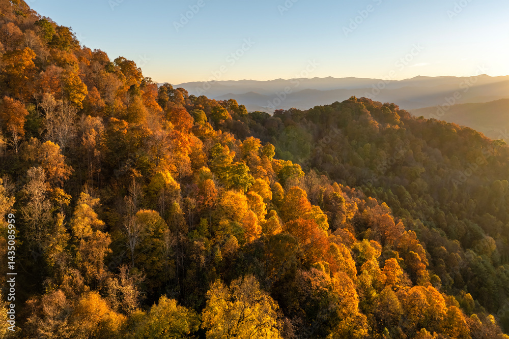 Fototapeta premium Wooded sunset hills of Appalachian mountains in North Carolina with lush and evergreen forest trees at fall season. Beauty of autumnal nature