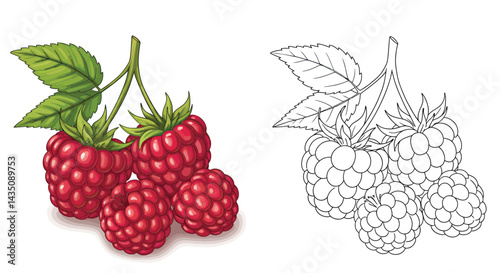 Luscious Raspberry: A close-up view of a vibrant red raspberry with its leaves, showcasing its delicate texture and natural beauty.
