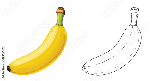 Banana: A perfect illustration showcases a single ripe banana in vivid detail, alongside its black-and-white outline counterpart, offering a study in form, texture, and the simplicity of the food.