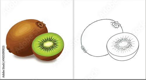 Kiwi Duo: Showcasing the vibrant contrast of a fresh kiwi fruit alongside its outlined counterpart, a symbol of nature's delicious offering and creative design.