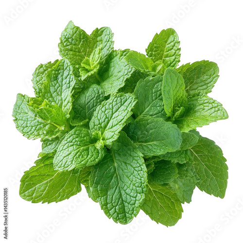 vibrant bunch of fresh mint leaves. showcasing their rich green color and textured surface this herb is commonly used in culinary dishes. beverages. and as a garnish. highlighting its versatility and