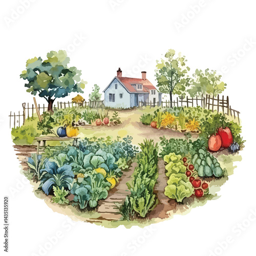 community garden with vegetables growing cute watercolors illustration on white background