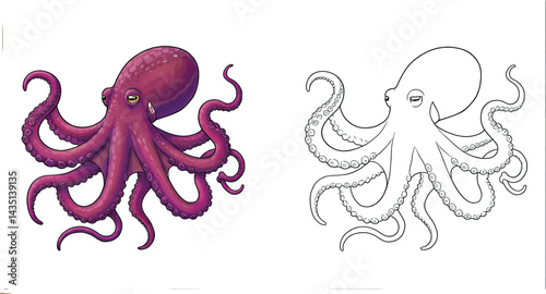 Ink-Red Octopus: A vibrant colored and ink-drawn octopus illustration and black and white outline, perfect for sea life projects.