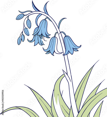 iris flower isolated on white, bluebell flower vector