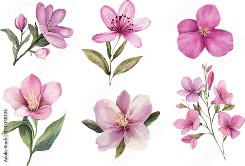 pink and white flowers