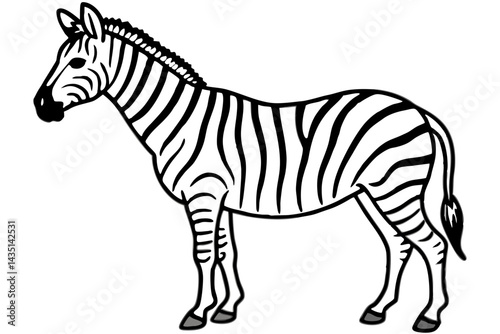 Wild Zebra Ink Lines