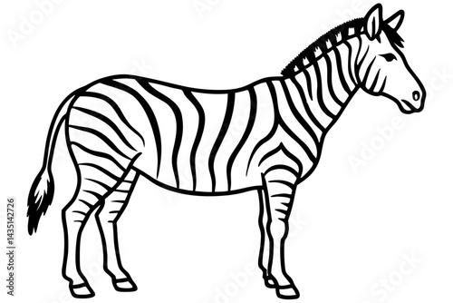 Wild Zebra Ink Lines