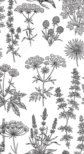 Botanical Linework: A Floral Tapestry AI Generated