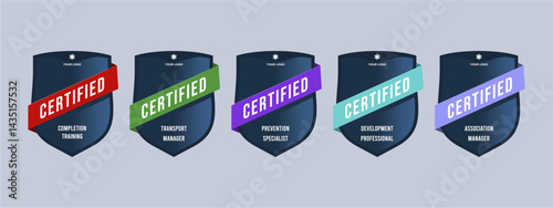 Professional Certification Badge Set - Editable Modern Achievement Badges for Training and Management Recognition
