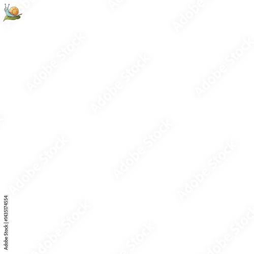 snail in cartoon style isolated on white background Lovely hand drawn snail Snail animal cartoon