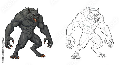 Werewolf Illustration: A captivating illustration of a ferocious werewolf in a detailed, dynamic pose with intricate lines. This illustration captures the essence of the classic creature.