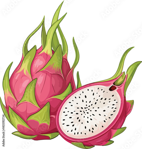 dragon fruit vector design art illustrator ai create