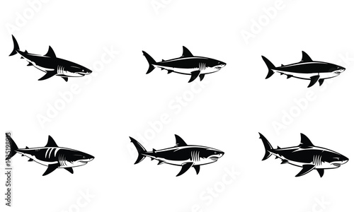 silhouettes of sharks vector illustration isolated