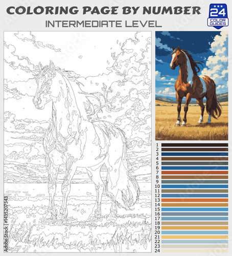 Color by Number Horse in Open Field | Intermediate Level Realistic Coloring Page