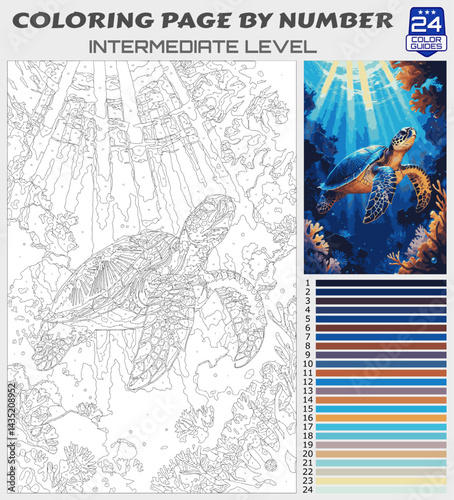 Sea Turtle Coloring Page by Number | Ocean Underwater Scene | Intermediate Printable