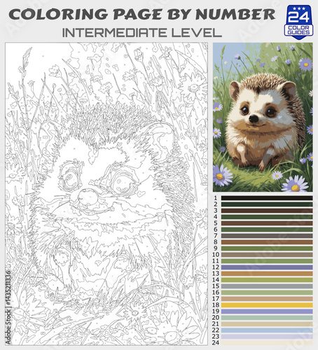 Cute Hedgehog in Meadow Coloring Page by Number | Intermediate Printable for Relaxing Art