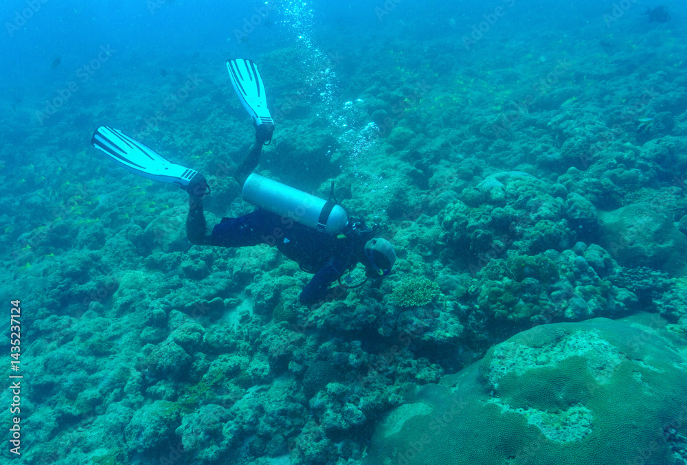 Fototapeta premium A Scuba Diver diving in the coral reef off Chidiya Tapu - Andaman Islands, India