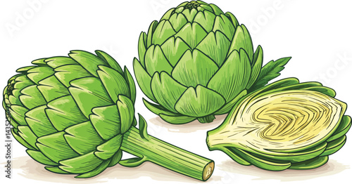 Artichoke in white background with Artichoke slice vector design, Artichoke Illustration vector design