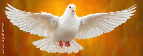 White Dove in Flight Symbolizing Peace and Harmony during World Interfaith Harmony Week Celebration