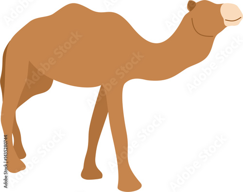 faceless eid al adha animal camel