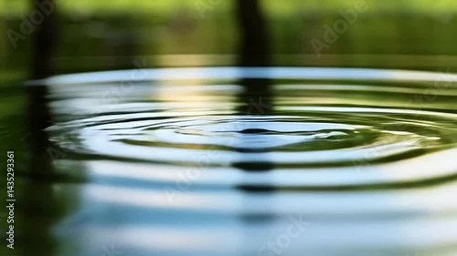 Water Ripples Expanding on a Smooth Lake Surface Reflection