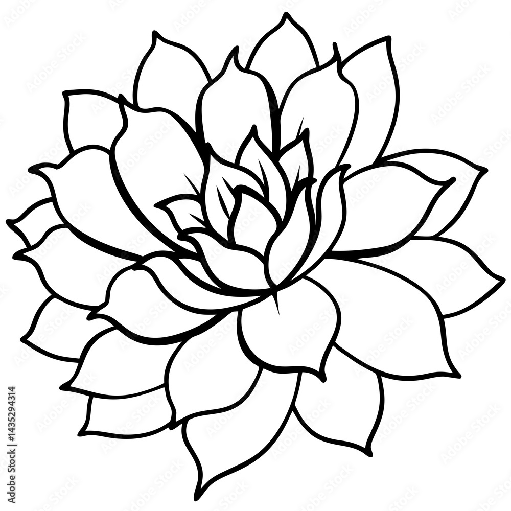 Fototapeta premium Minimal Wild Bloom Vector on White