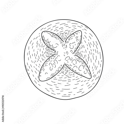 A hand-drawn black-and-white line art illustration of a round sweet bun with a cross-shaped topping or scoring on the surface. The textured dough and soft, plump shape make this bakery treat perfect